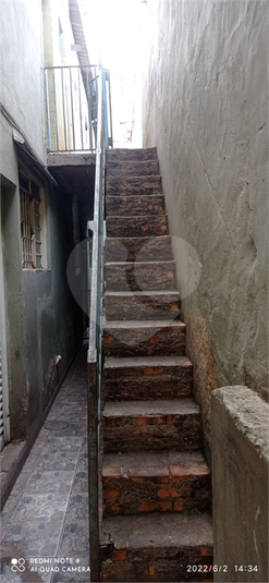 Foto REO470044