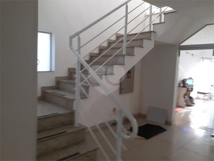 Foto REO470059