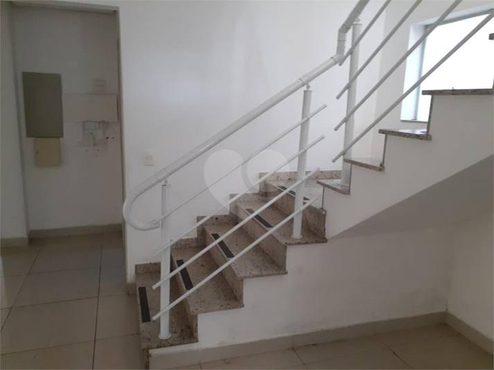 Foto REO470059