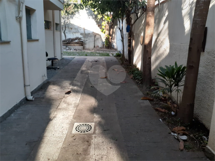 Foto REO470059