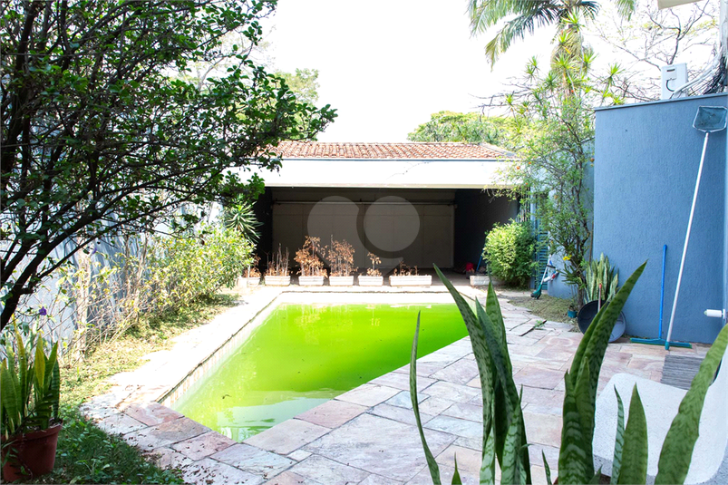 Foto REO470515