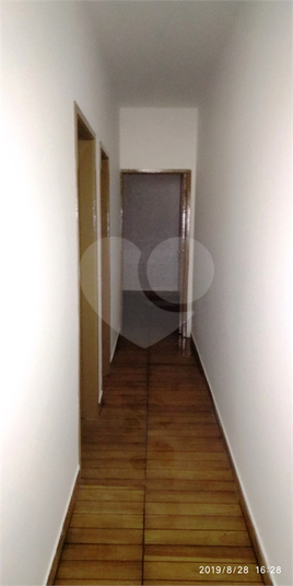 Foto REO470539