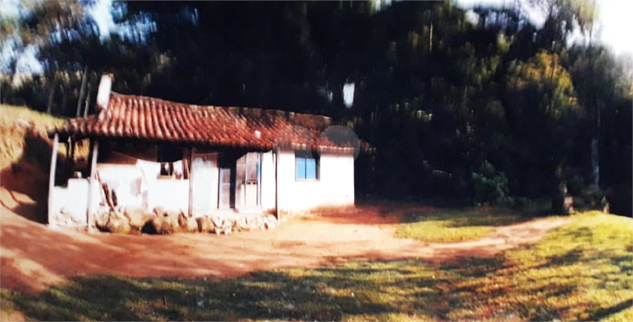 Foto REO470591