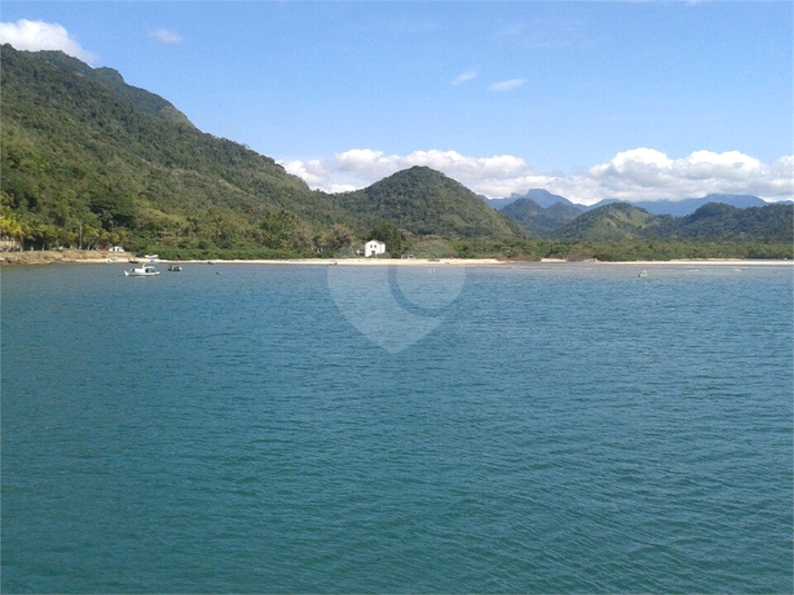 Foto REO470591