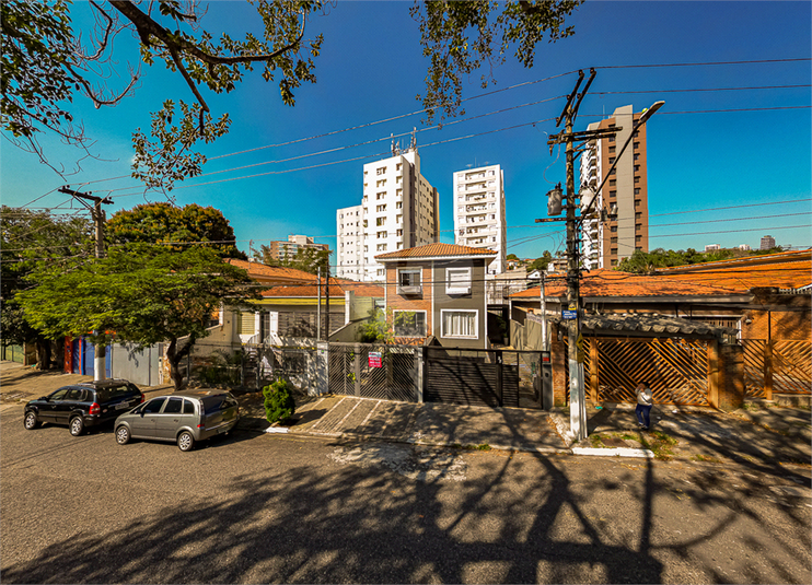 Foto REO470603