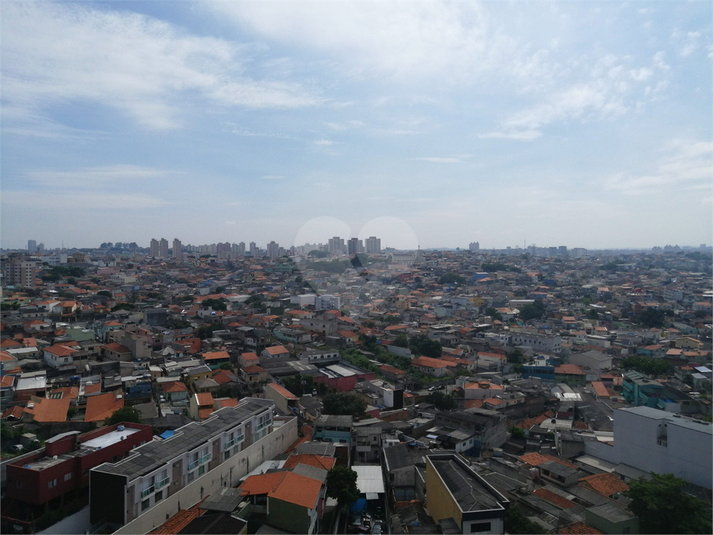 Foto REO470771