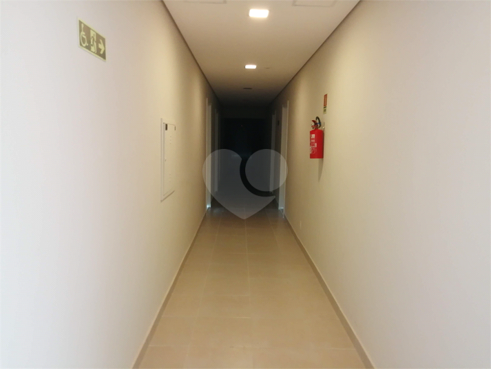 Foto REO470771