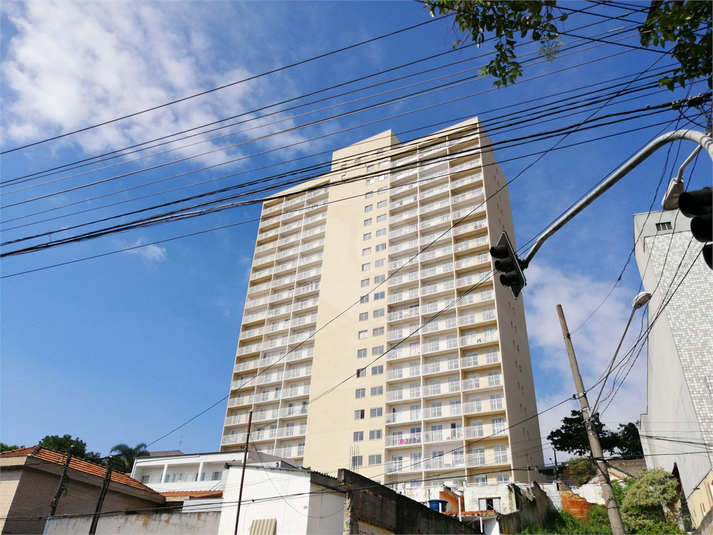 Foto REO470785