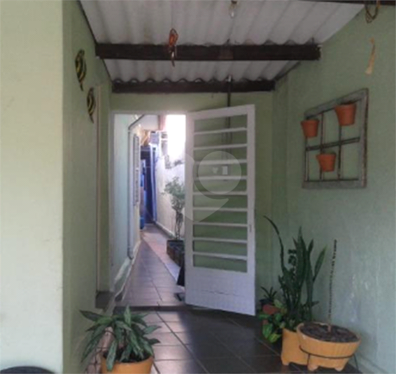 Foto REO470931