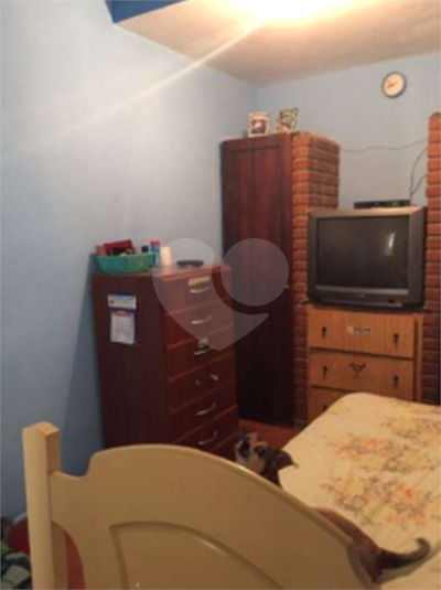 Foto REO470931