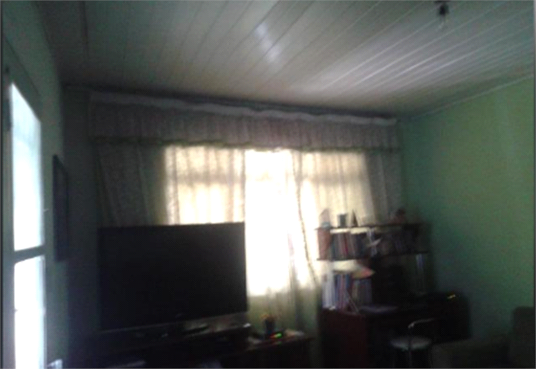 Foto REO470931