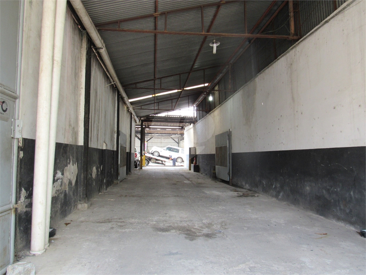 Foto REO471023