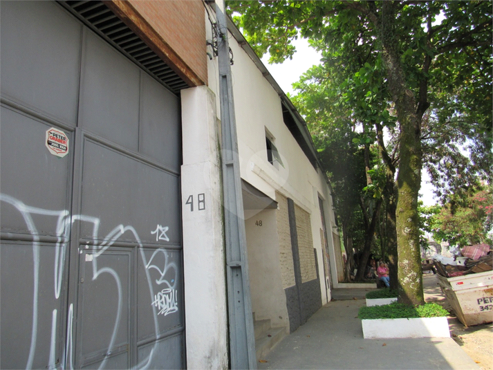 Foto REO471023