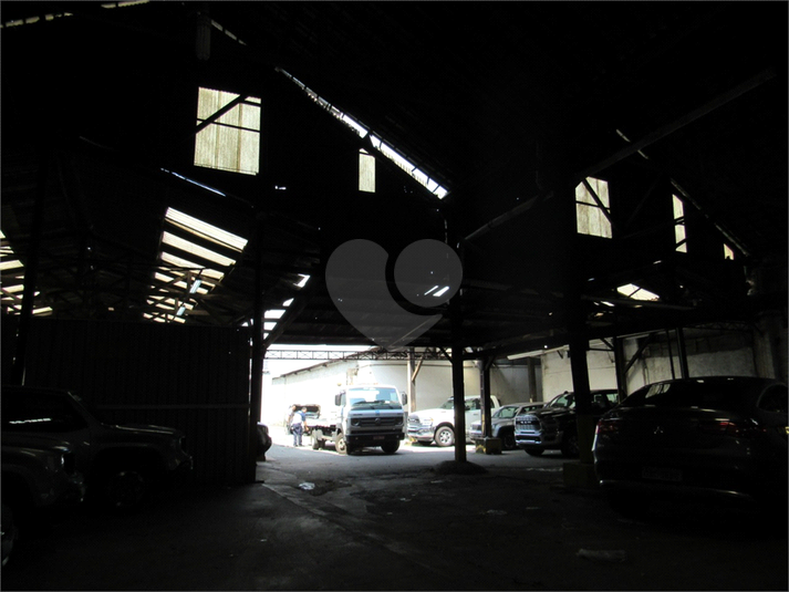 Foto REO471023