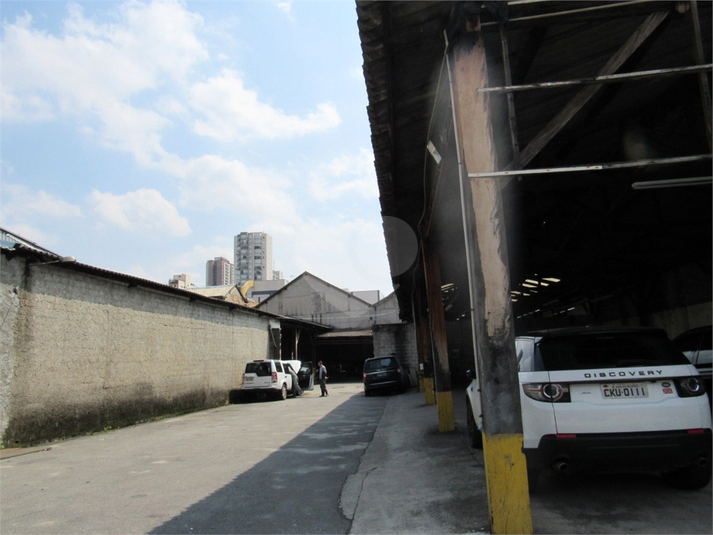 Foto REO471023