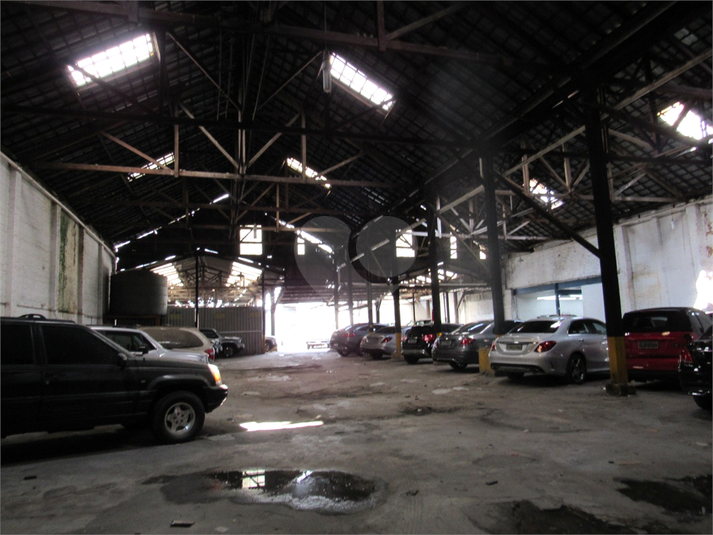 Foto REO471023