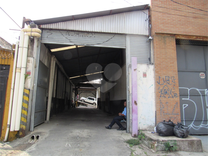 Foto REO471023