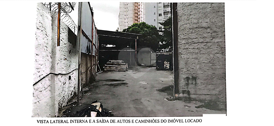 Foto REO471023