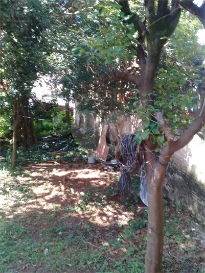 Venda Casa térrea São Paulo Parque Peruche REO471133 22