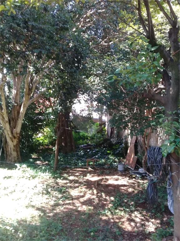 Venda Casa térrea São Paulo Parque Peruche REO471133 23