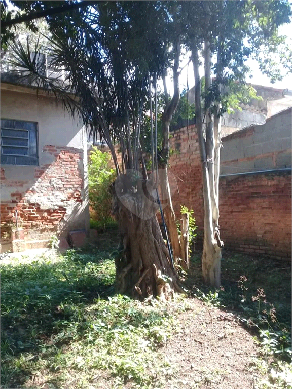 Venda Casa térrea São Paulo Parque Peruche REO471133 17