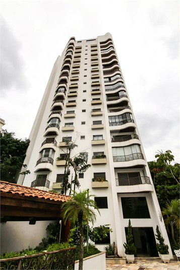Foto REO471183