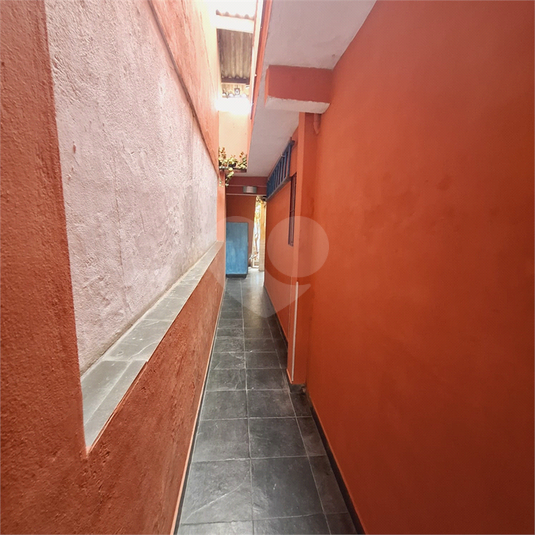 Foto REO471313