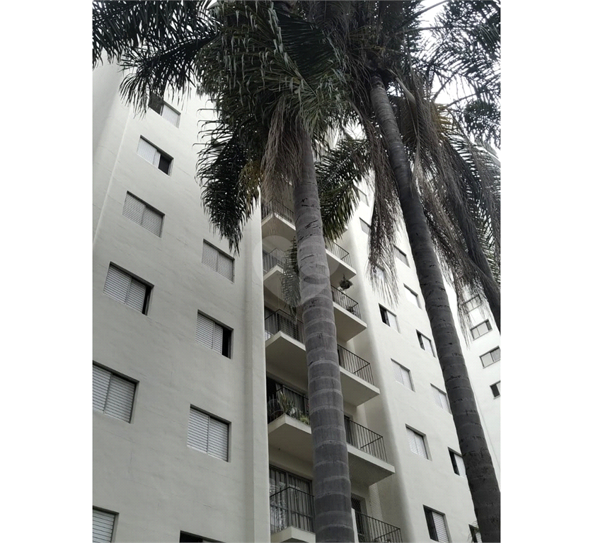 Venda Apartamento São Paulo Vila Olímpia REO471753 23