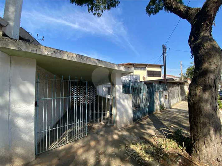 Foto REO472332