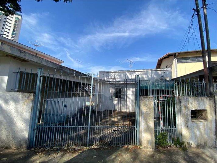Foto REO472332