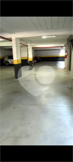 Foto REO472349