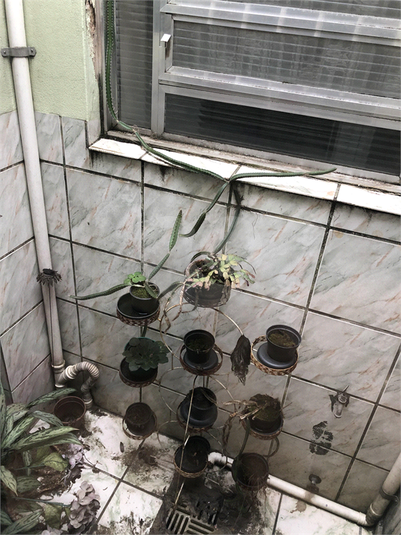 Jardim de inverno