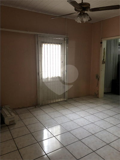 Foto REO473078