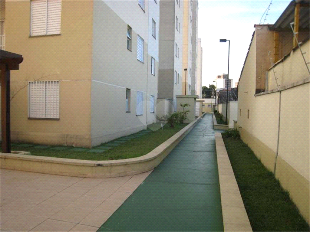 Venda Apartamento São Paulo Jardim Do Tiro REO473236 1