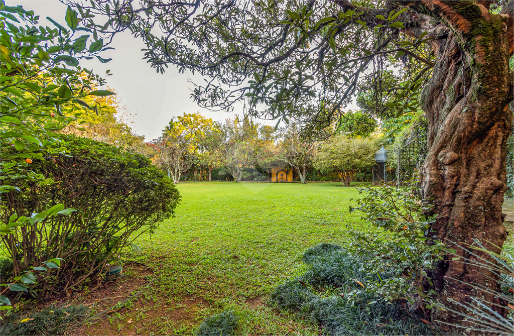 Venda Casa São Paulo Jardim América REO473337 51