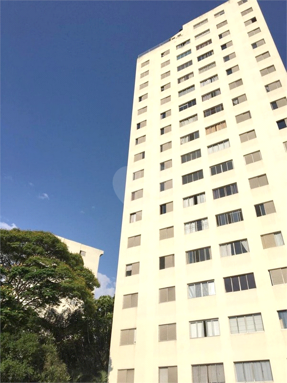 Venda Apartamento São Paulo Campo Belo REO473682 24