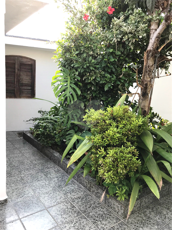 Venda Casa térrea São Paulo Vila Butantã REO473745 10