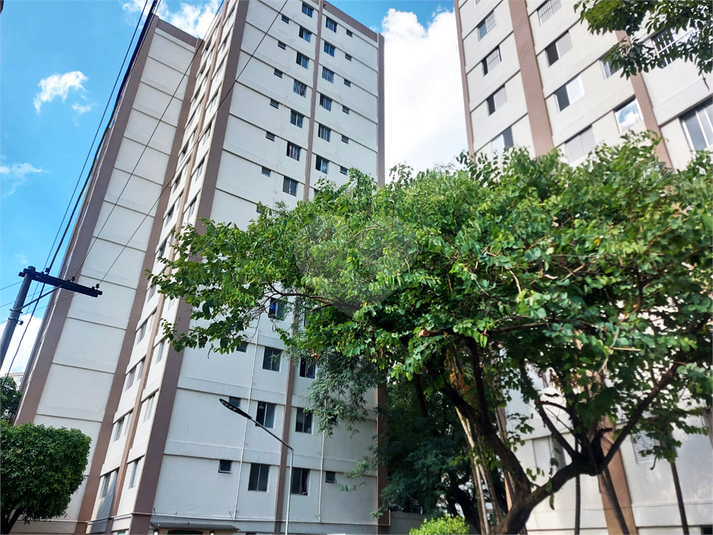 Aluguel Apartamento São Paulo Jardim Íris REO473802 52