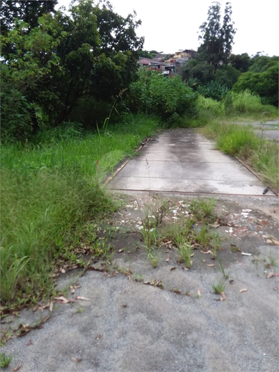 Venda Galpão São Paulo Vila Do Castelo REO474333 10