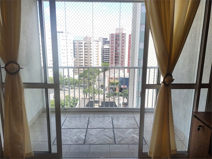 Foto REO474549