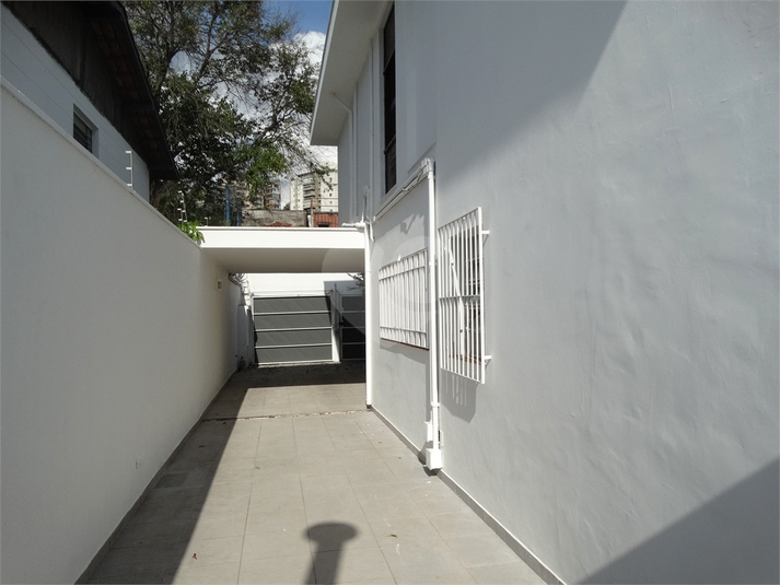 Foto REO474952