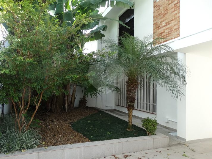 Foto REO474952