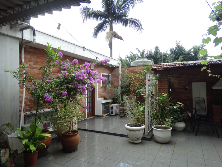 Foto REO474952