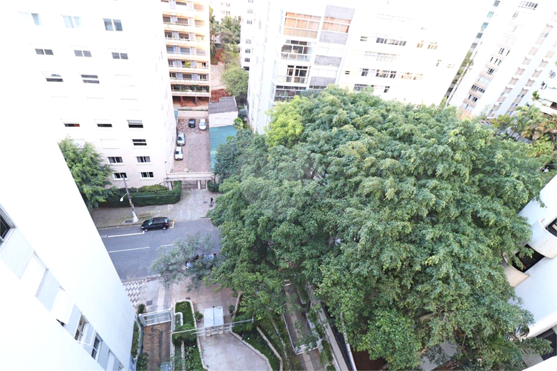 Foto REO475097