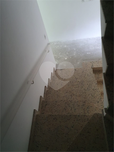 Foto REO475745