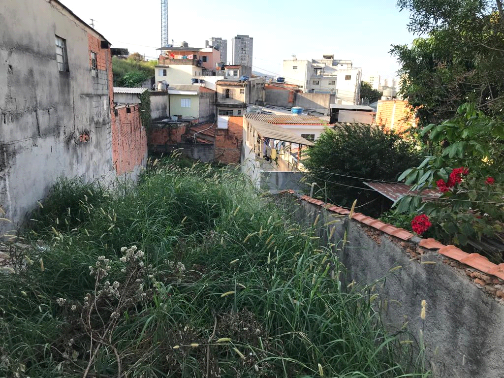 Venda Terreno São Paulo Vila Celeste REO476063 1