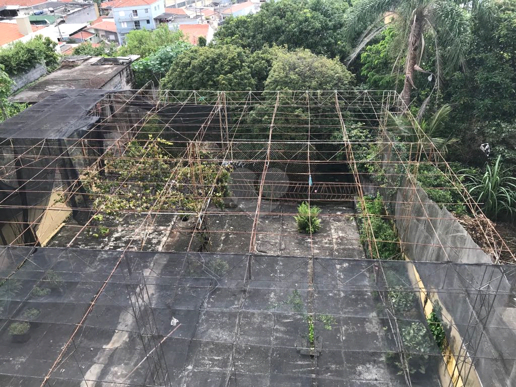 Venda Casa São Paulo Vila Mangalot REO476305 10