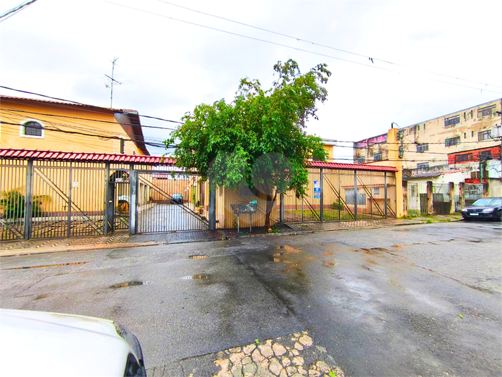 Foto REO477270