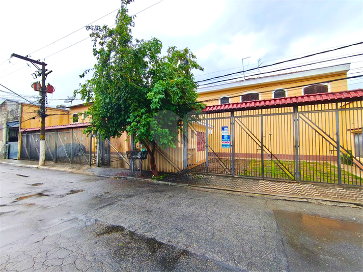 Foto REO477270