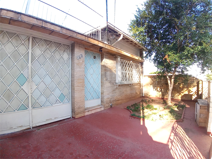 Foto REO477787